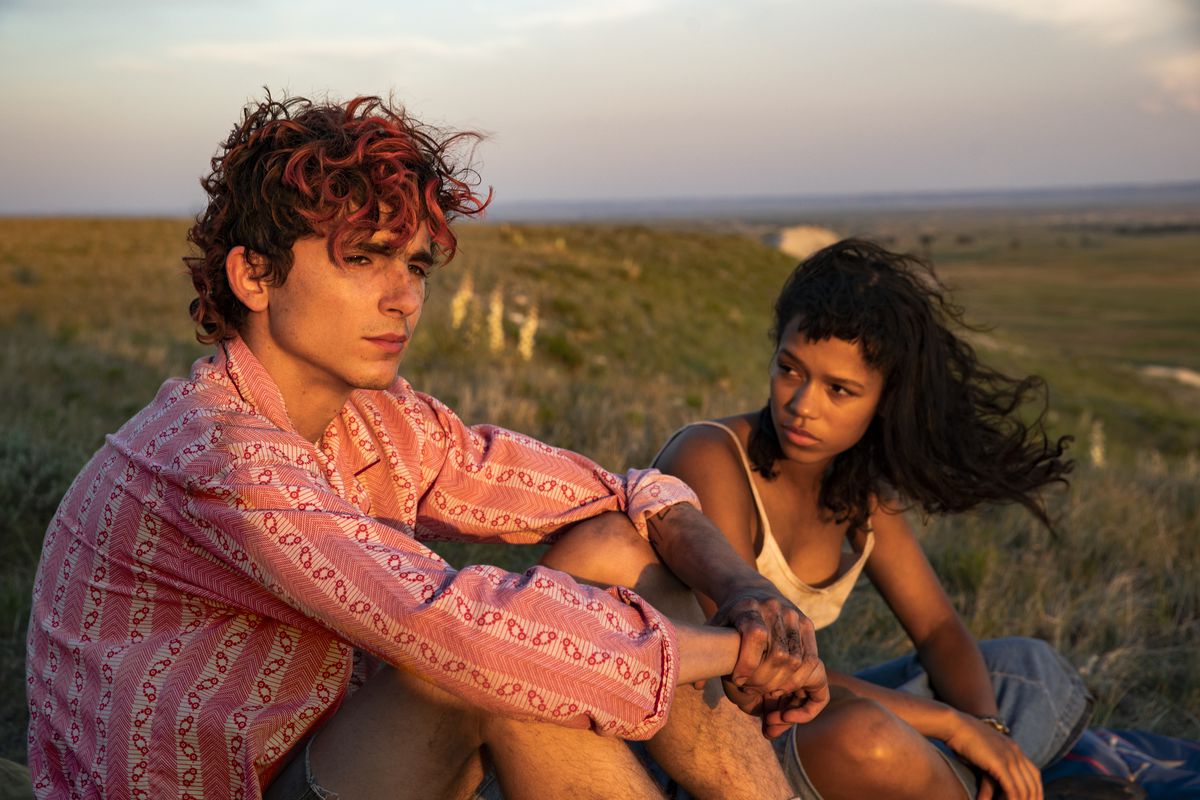 Young lovers Lee (Timothée Chalamet) and Maren (Taylor Russell) sit in a sunny field together, each frowning into space, in Bones and All