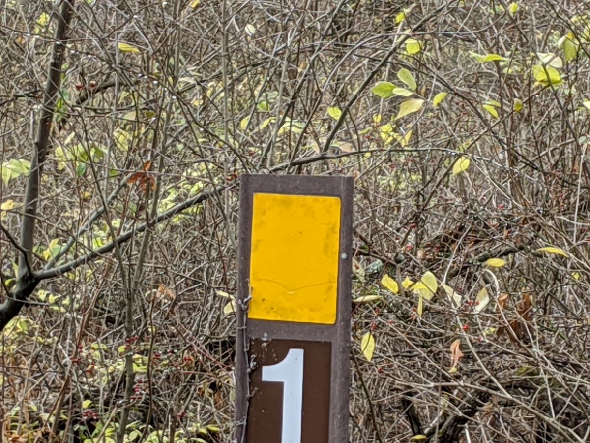 Midewin National Tallgrass Prairie utilizes a system of permanent signs that are marked with numbers designating hunting spots, which have GPS coordinates. Credit: Dale Bowman
