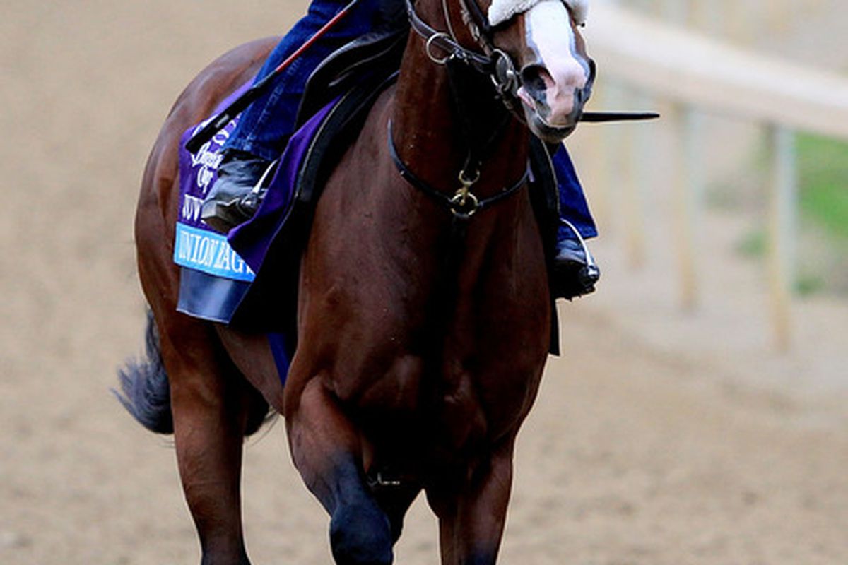 Union Rags leads the field for Saturday's Grade 1 Florida Derby at Guflstream Park.