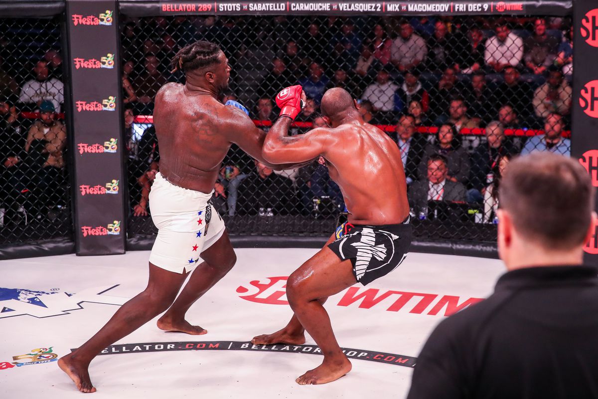 Daniel James pulled off a major upset by stopping Tyrell Fortune at Bellator 288