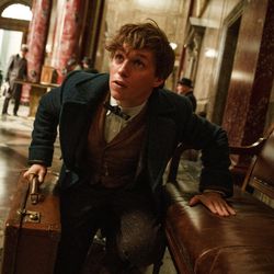 Eddie Redmayne as Newt Scamander in Warner Bros. Pictures' fantasy adventure "Fantastic Beasts and Where to Find Them," a Warner Bros. Pictures release.