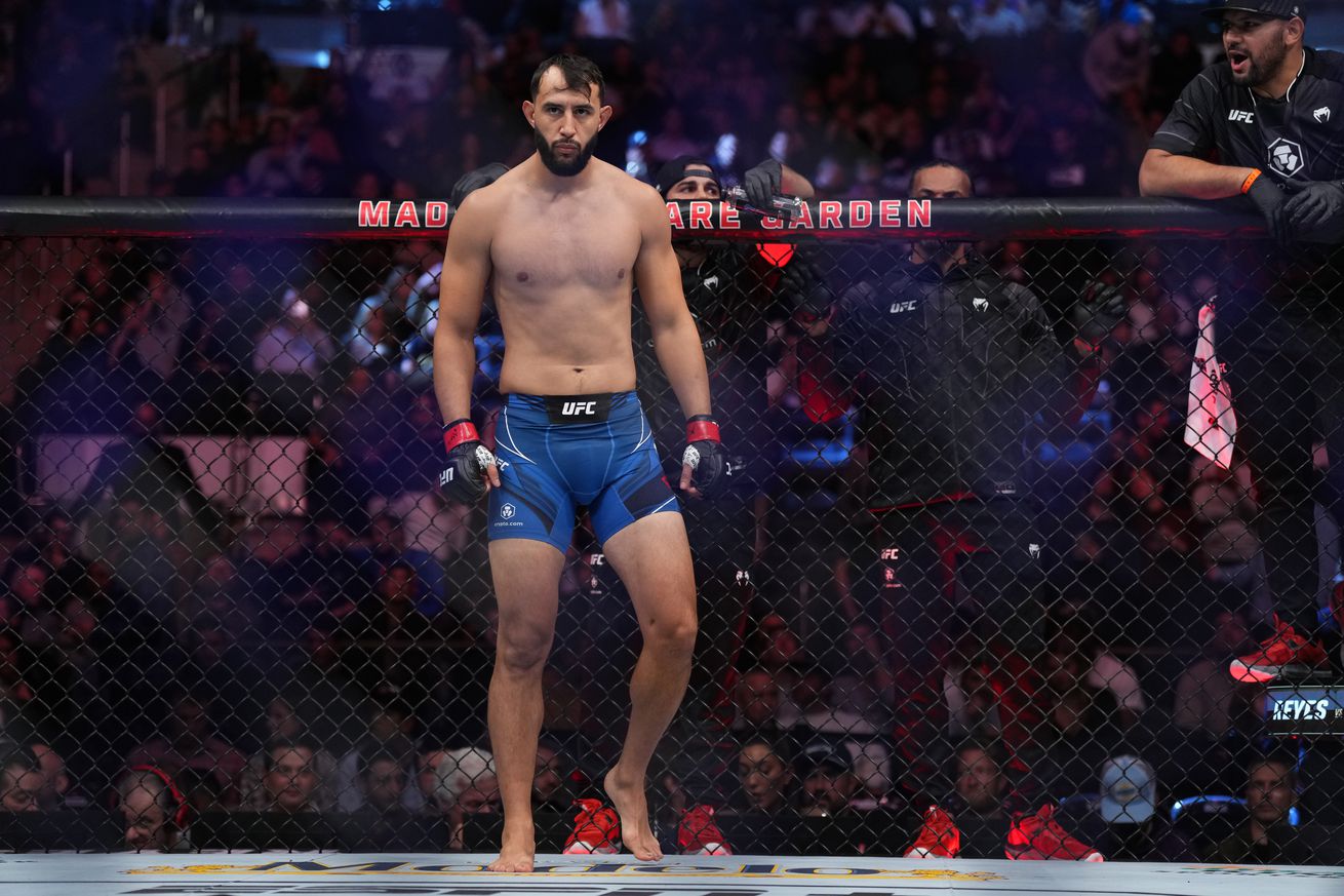 Dominick Reyes at UFC 281. 