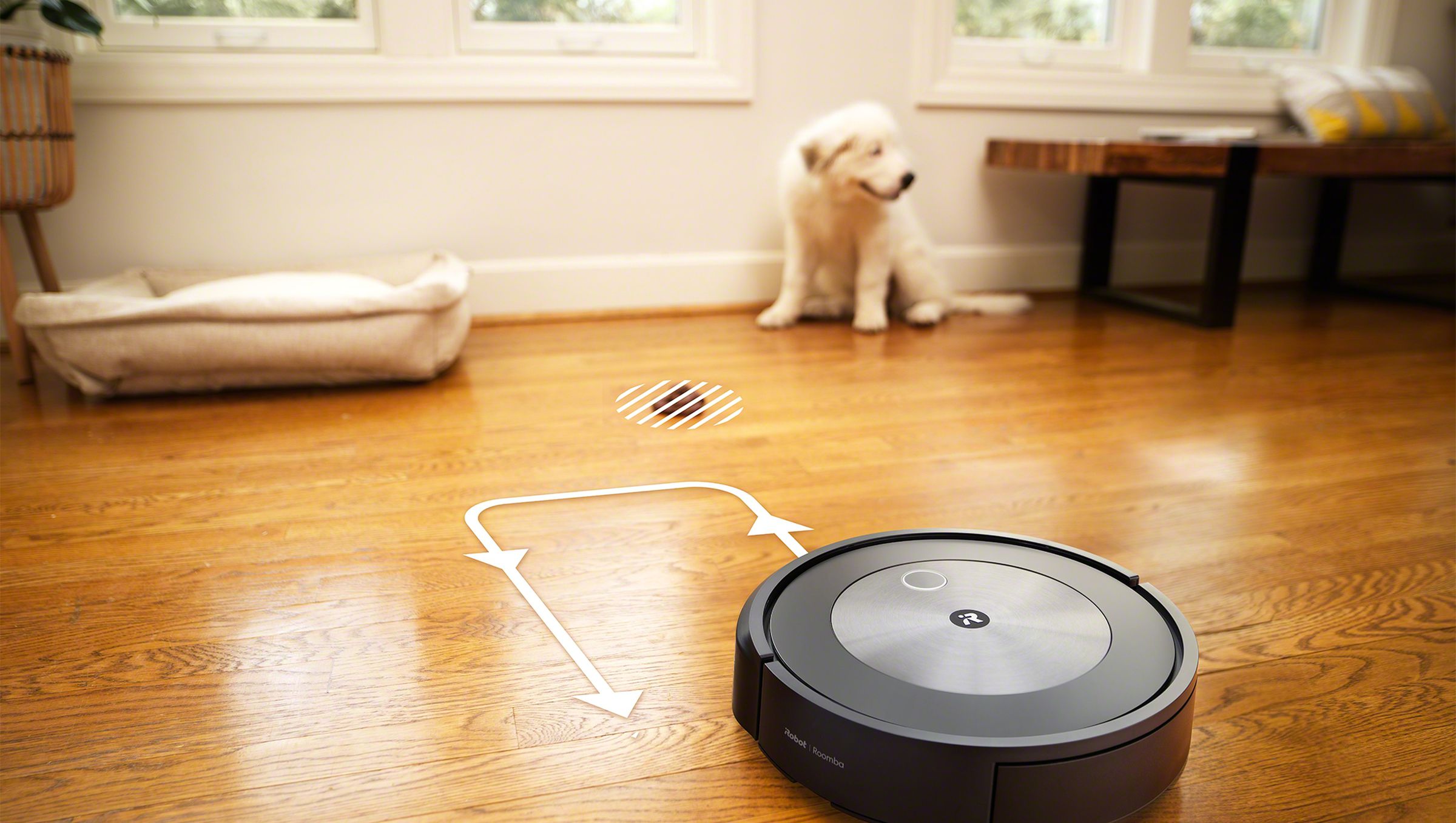 Fuera llegar En necesidad de iRobot's newest Roomba uses AI to avoid dog poop - The Verge
