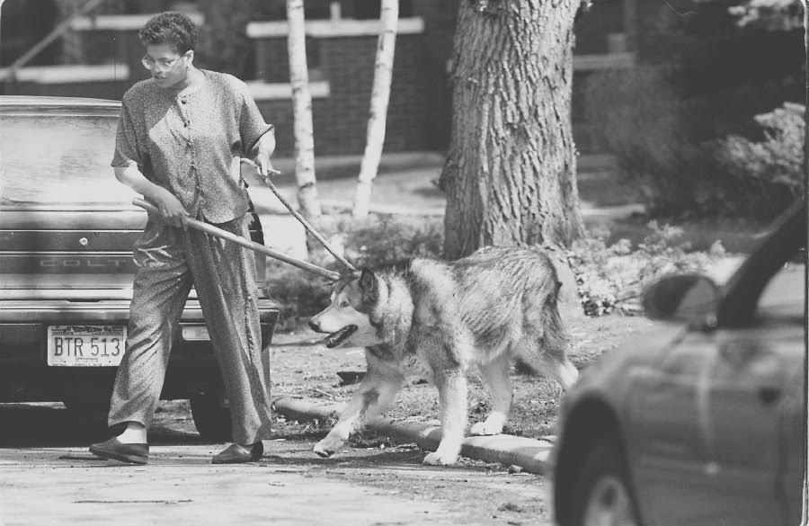 Dr. Donna Alexander removing an injured dog from a Marquette Park home in 1997. A pet baboon had attacked the owner and her dogs. | Sun-Times files