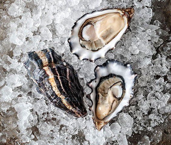 Sweetwater oysters at Hog Island Oyster Co.&nbsp;