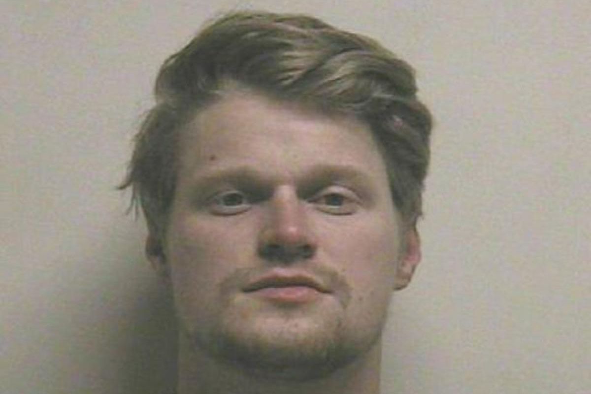Spencer Jens Pedersen, 26, was arrested Wednesday, Nov. 16, 2016, for investigation of three felony counts of cruelty to animals and torture of a companion animal, including one that was set on fire. But Provo police say he may have killed or tortured as 