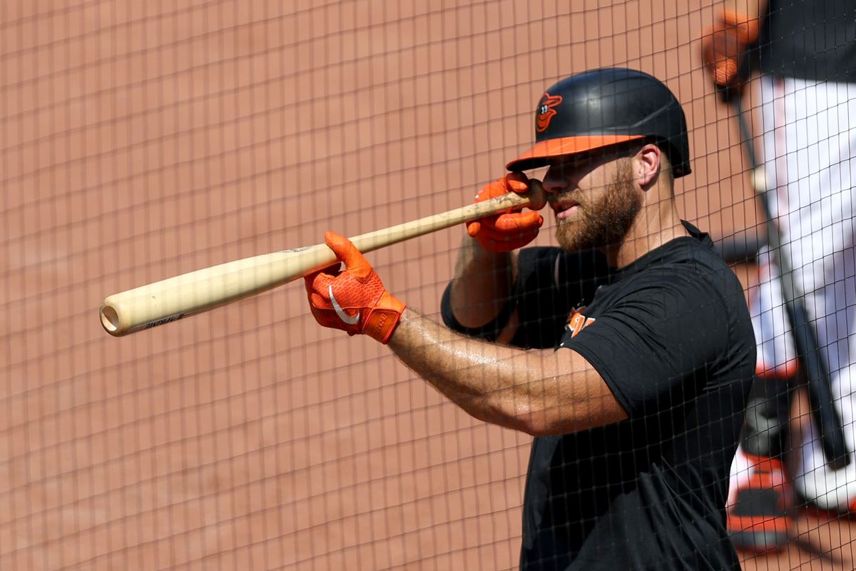 Baltimore Orioles Summer Workouts