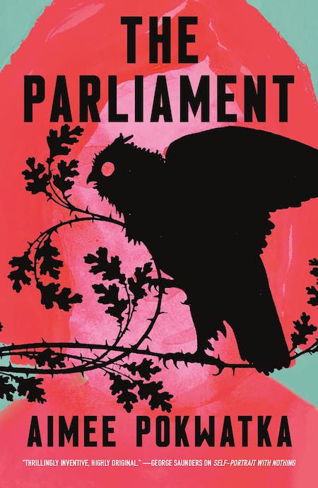 A creepy looking owl hangs out on a branch in the cover for Aimee Pokwatka’s The Parliament