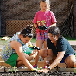 <strong>2015</strong>: Landscape contractor <strong>Jenn Nawada </strong>makes her <em>AskTOH </em>debut, helping Roger build raised-bed gardens at an elementary school and teaching third graders how to plant them. 