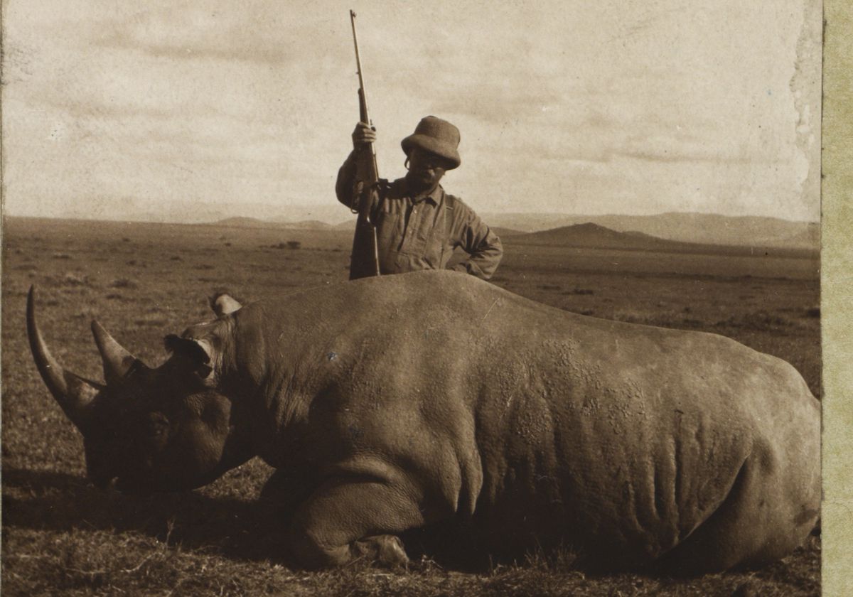 It's pretty easy to find a picture of Teddy Roosevelt with almost any dead animal.