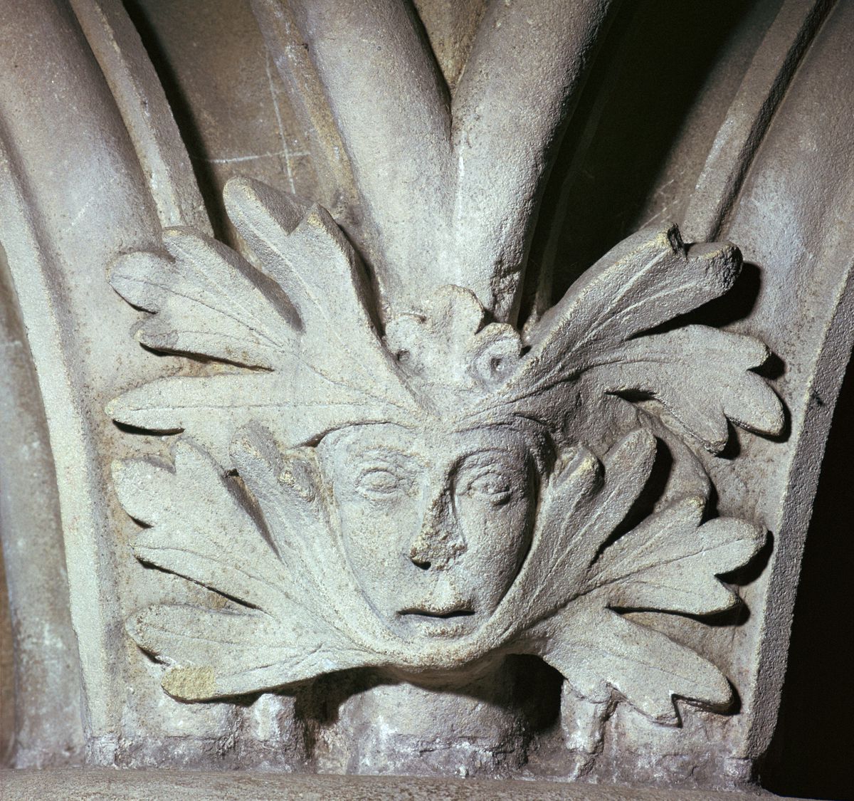 Detail of a Green Man at Southwell Minster in Nottinghamshire, 12th century.