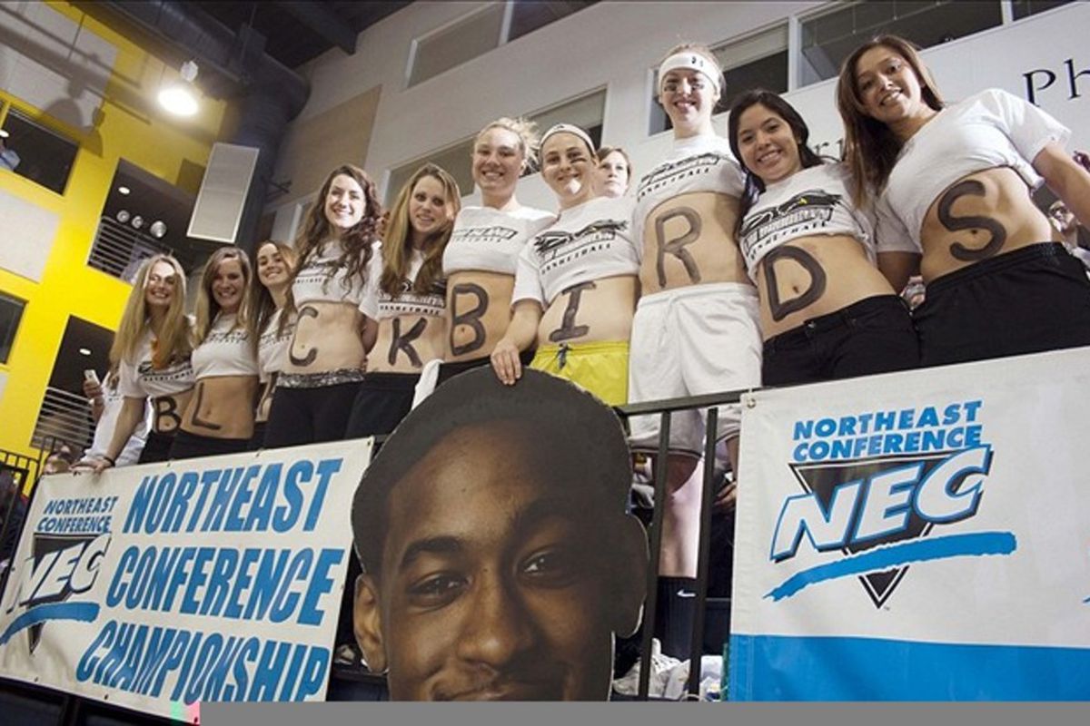 Mar 7, 2012; Brooklyn, NY, USA; LIU Brooklyn fans show their support before the finals of the 2012 NEC tournament against Robert Morris at the Wellness Recreation and Athletic Center.  Mandatory Credit: Joe Camporeale-US PRESSWIRE