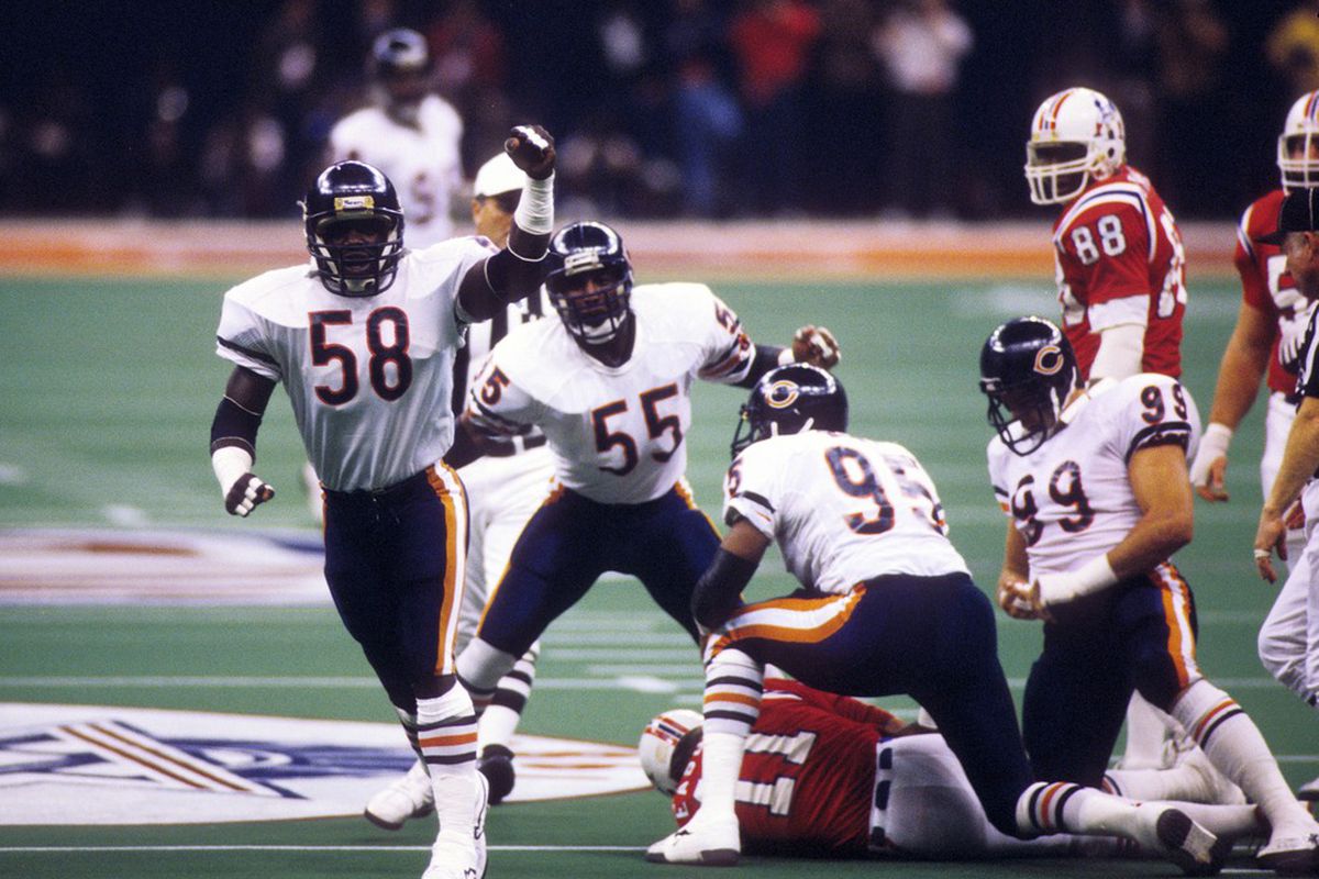 Real Bears fans don't need no stinking caption for these guys!