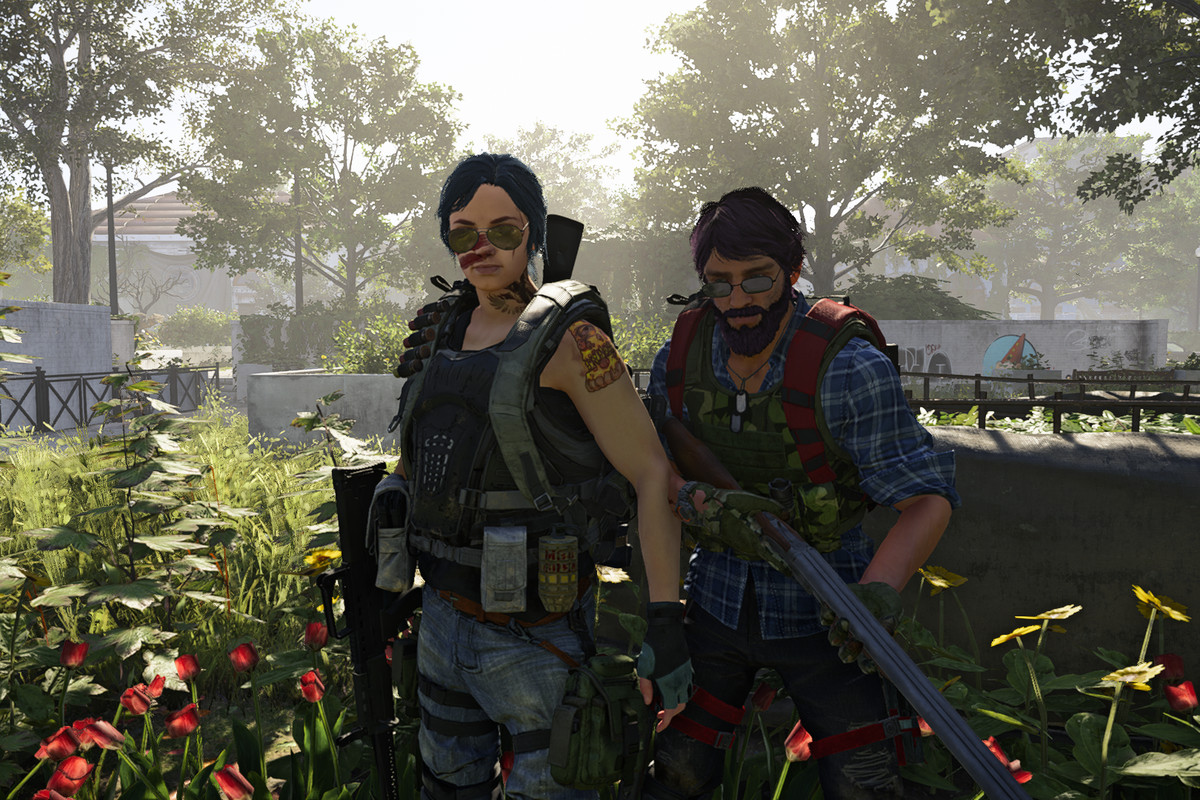 The Division 2 - two players stand in a field