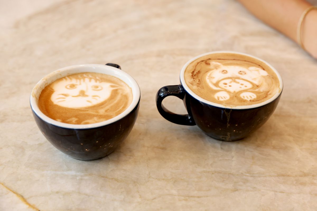 Tennis Pros Belinda Bencic And Alex de Minaur Kick Off The Opening Of Park Terrace Hotel’s New Coffee Lounge And Take On A New Challenge In Time For National Dog Day: Latte Foam Art!