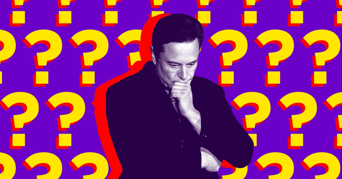 Elon Musk started looking for a new Twitter CEO before polling the site’s users