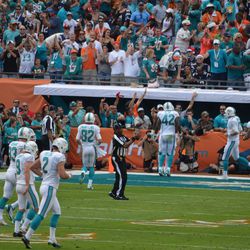 Dec. 15, 2013 Miami Gardens, FL - Miami Dolphins players celebrate a second quarter touchdown against the New England Patriots.