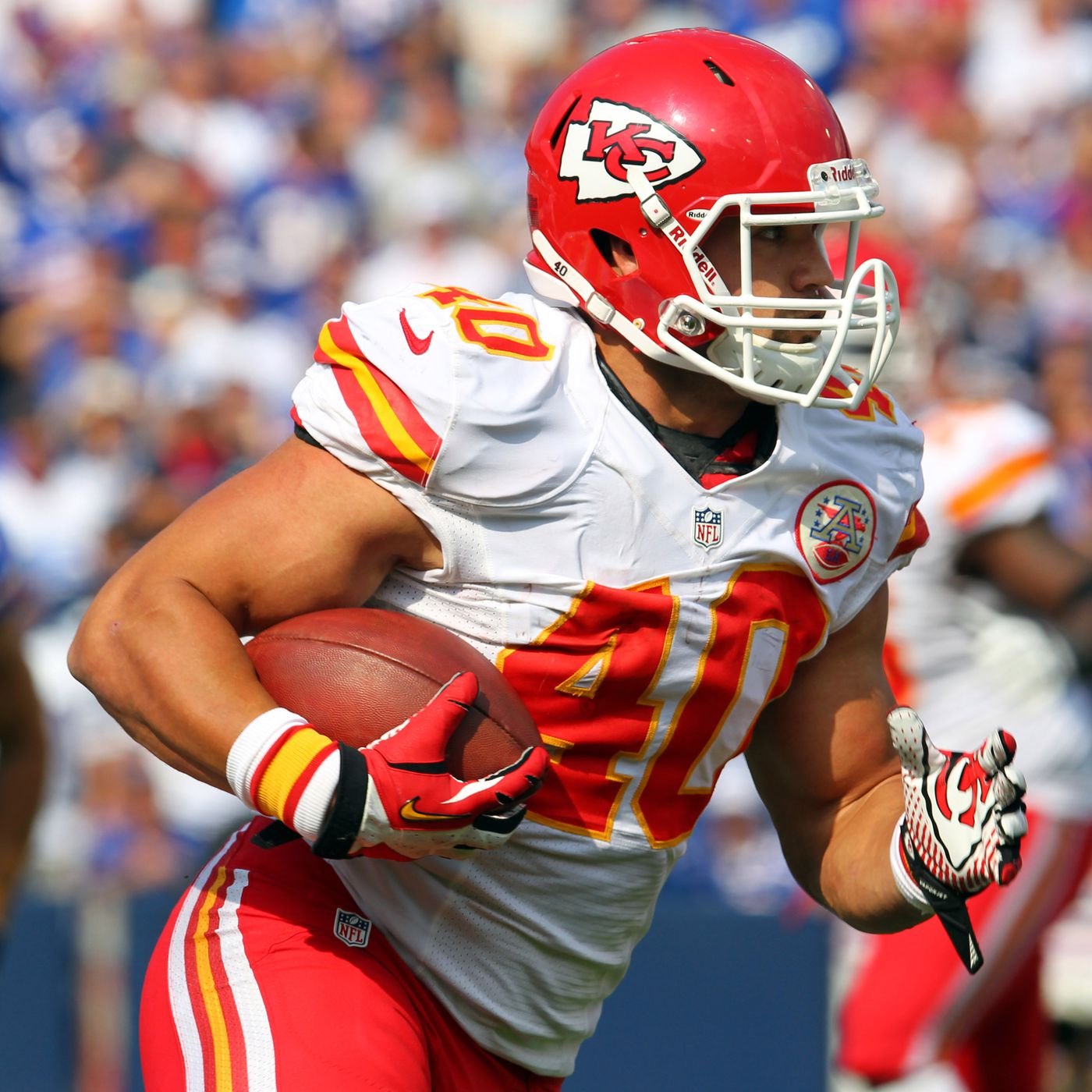 Q&A: Peyton Hillis Deserves All This  Peyton, Nfl cleveland browns, Browns  football