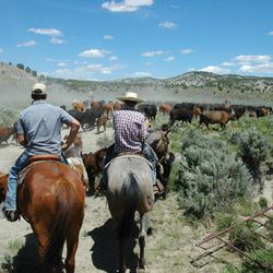 A round up with Alex Tanner and Baylor Roche is one of the many activities that take place on Della Ranches in Box Elder County's Grouse Creek.