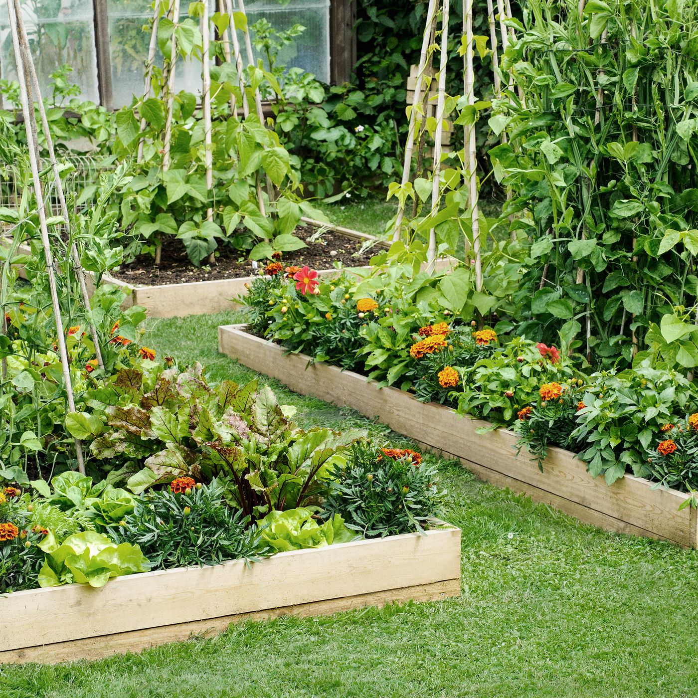 Raised Garden Bed Wall Ideas Materials silicon valley 2021