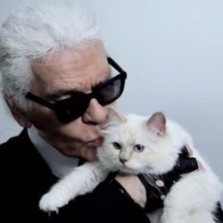 "There is no marriage, yet, for human beings and animals. I never thought that I would fall in love like this <a href="http://racked.com/archives/2013/06/03/karl-lagerfeld-adele.php">with a cat</a>." Image via <a href="http://fashionista.com/2012/08/and-h