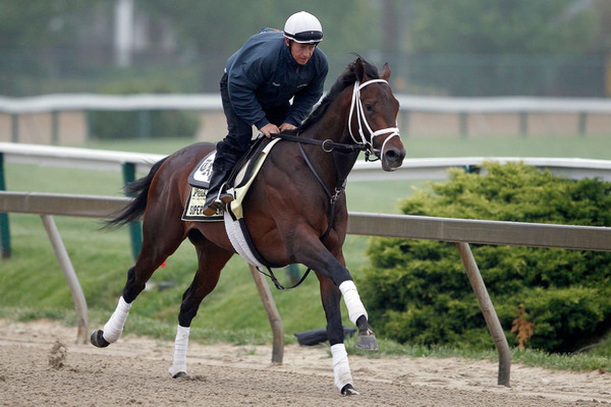BALTIMORE - MAY 14:  Super Saver, riden by Kevin Willey, during morning excersise in preparation for the 135th Preakness Stakes at Pimlico Race Course on May 14, 2010 in Baltimore, Maryland.  (Photo by Matthew Stockman/Getty Images)