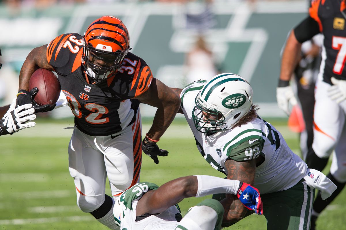 NFL: Cincinnati Bengals at New York Jets