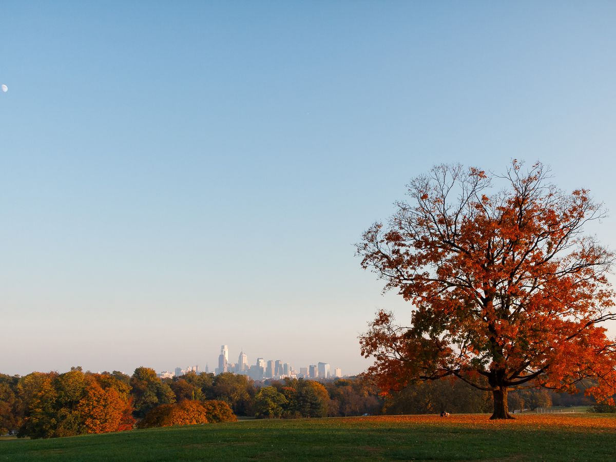 Trees with colorful autumn leaves at Belmont Plateau in Philadelphia.