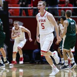 Utah Utes guard Parker Van Dyke (5) celebrates after making a shot to regain the lead over the Utah Valley Wolverines during the game at the Huntsman Center in Salt Lake City on Tuesday, Dec. 6, 2016.