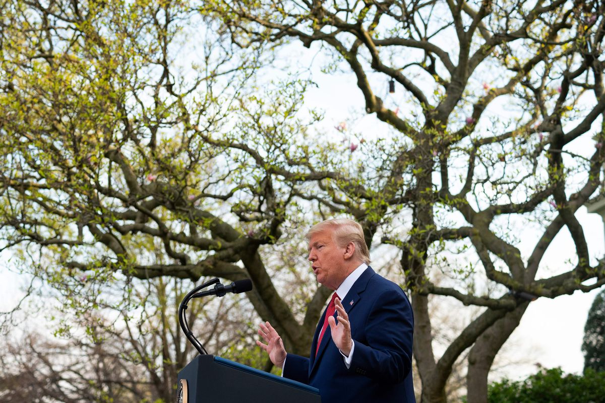 Trump gestures in front of a tree in a navy suit and red tie. The sun is shining down on him.