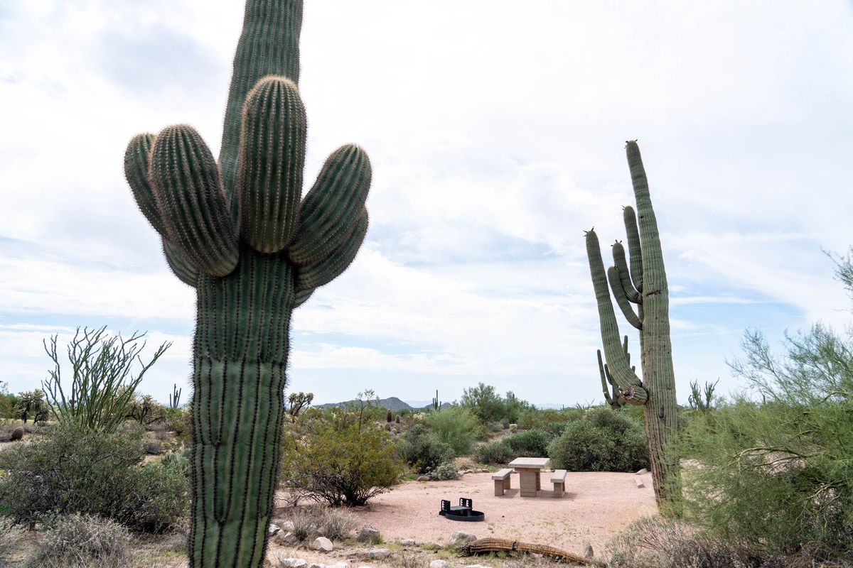 A campsite at Usery Mountain Regional Park in Mesa on Sept. 29, 2022. Feature Hiking Biking And Archery A Guide To Usery Mountain Regional Park In Mesa