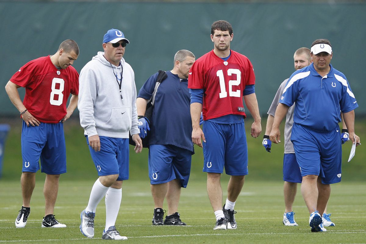 Indianapolis Colts offensive coordinator Bruce Arians. (Photo by Joe Robbins/Getty Images)