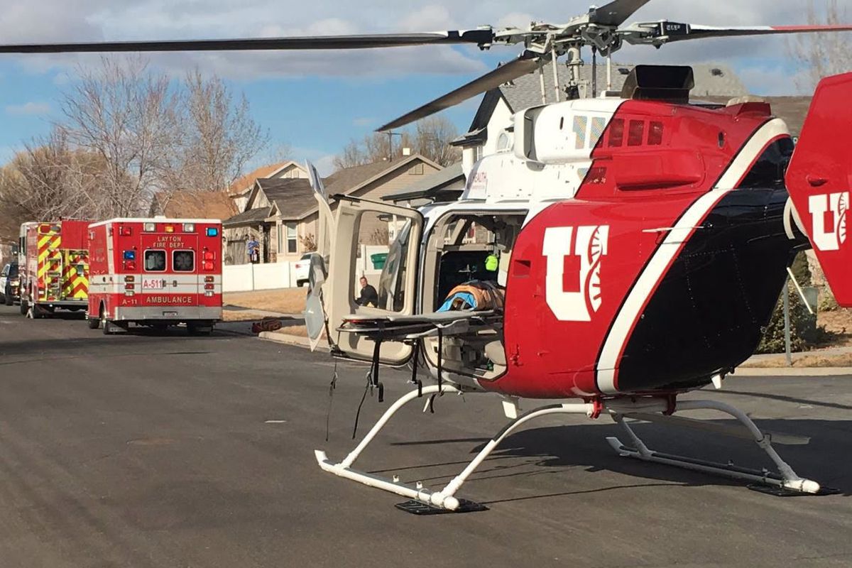 A child in Layton was bit by a dog and has been flown to Primary Children's Hospital in Salt Lake City for surgery, Layton authorities said.