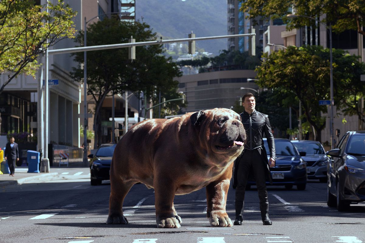 A big dog and an inhuman stand in the middle of a busy city street