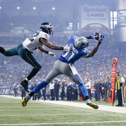 FILE - In this Nov. 26, 2015, file photo, Detroit Lions wide receiver Calvin Johnson (81), defended by Philadelphia Eagles cornerback Eric Rowe (32) , catches a pass for a touchdown during the second half of an NFL football game, in Detroit. Calvin Johnson has retired. The 30-year-old receiver, known as Megatron, announced his decision Tuesday, March 8, 2016, to walk away from the NFL after nine mostly spectacular seasons with the Detroit Lions.