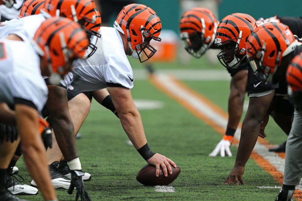 NFL: Cincinnati Bengals-Minicamp