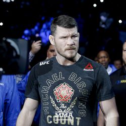 Michael Bisping walks to Octagon at UFC 217.