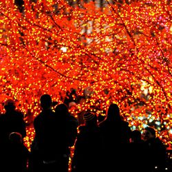 Spectators came out to watch as the Temple Square lights are turned on for the first time for the 2013 season on Friday, Nov. 29, 2013.