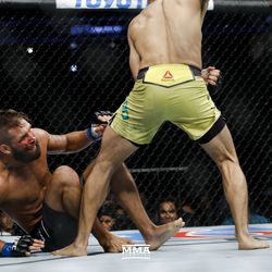 Jeremy Stephens drops at UFC on FOX 30.