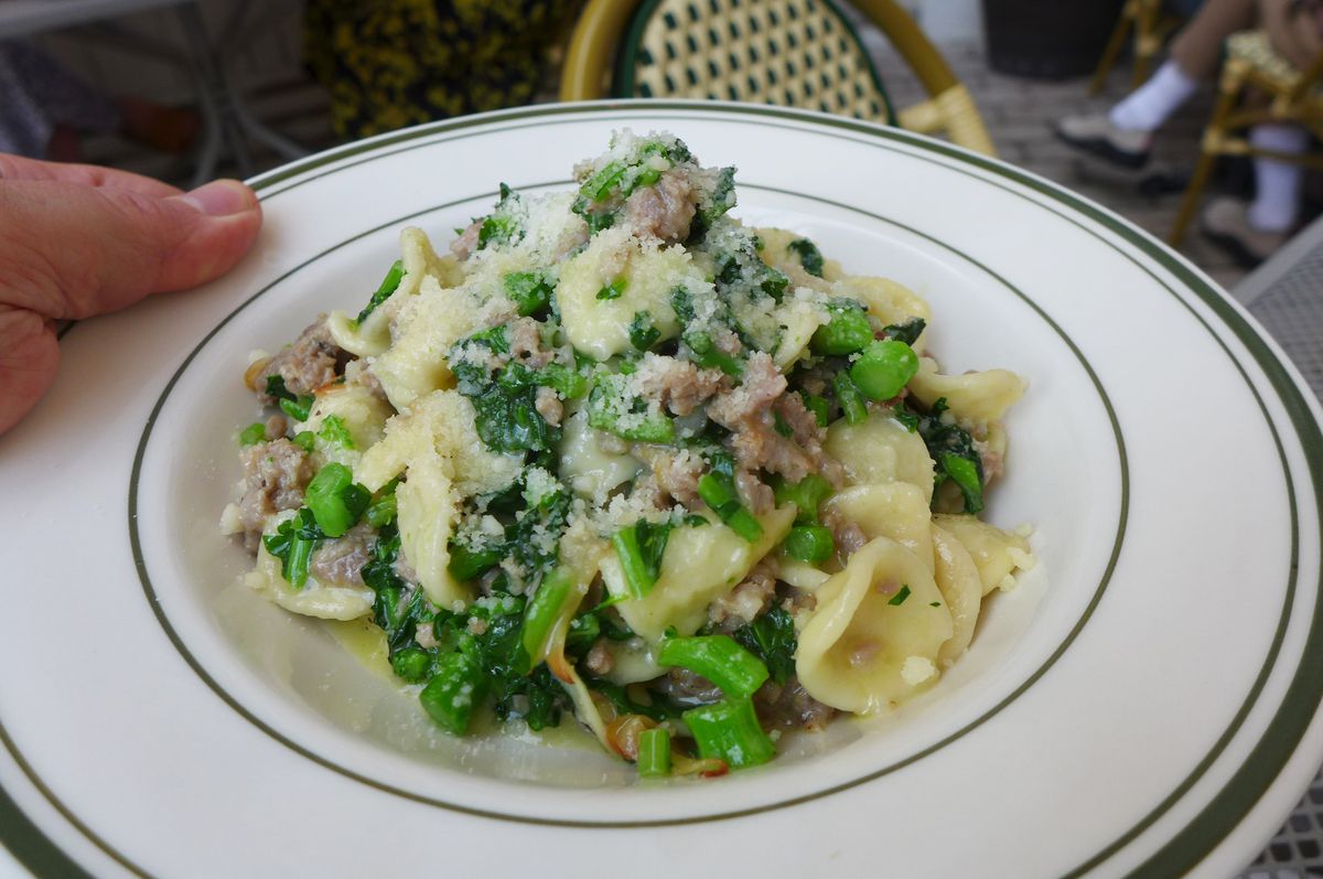 A shallow bowl of pasta with chopped broccoli rabe.