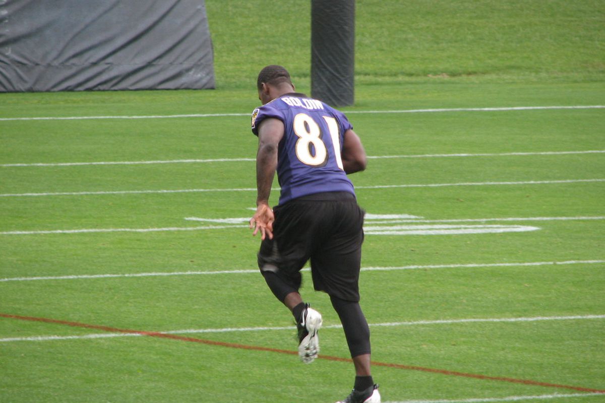Anquan Boldin Warming Up at Tuesday's OTA