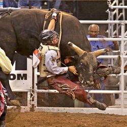 Dustin Bowen tries to get away from the bull "Hard Knocks" as he competes in the bull riding competition during the final day of the Days of '47 Rodeo at Energy Solutions Arena on July 26.