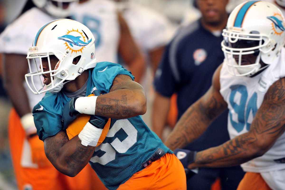 Will Mike Gillislee be the star of this year's Dolphins rookie class?