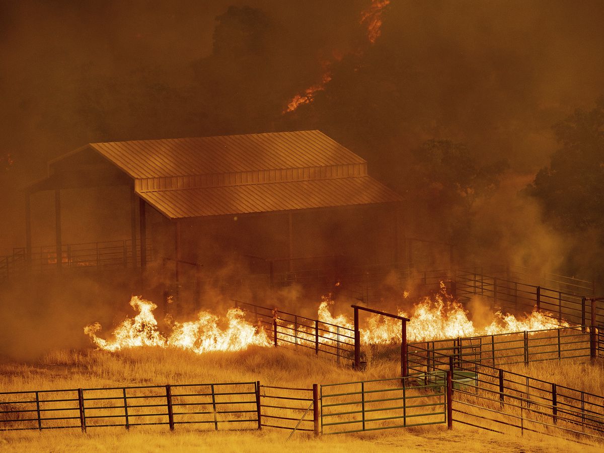 Flames rise around an outbuilding as the County Fire burns in Guinda, California.
