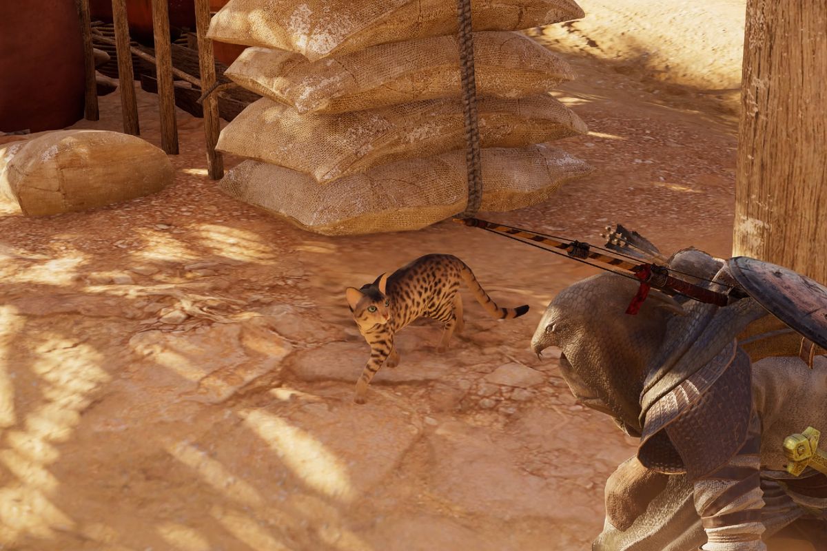 Cat - Assassin’s Creed Origins