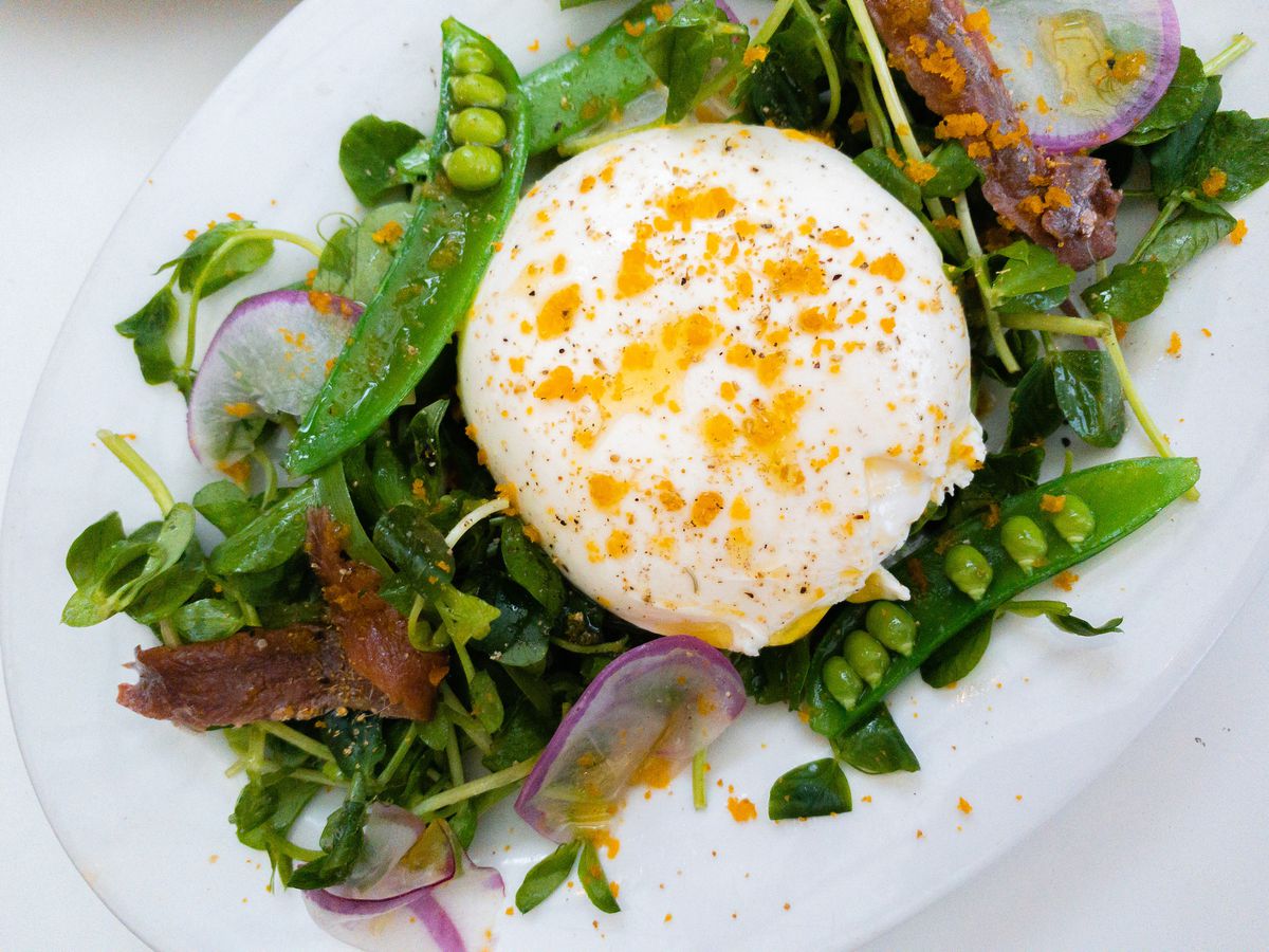 A white plate of salad greens with an orb of burrata cheese topped with yellow shavings of bottarga.