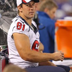Aug 9, 2013; Minneapolis, MN, USA; Houston Texans tight end Owen Daniels (81) looks on from the sidelines during the second quarter against the Minnesota Vikings at the Metrodome. 