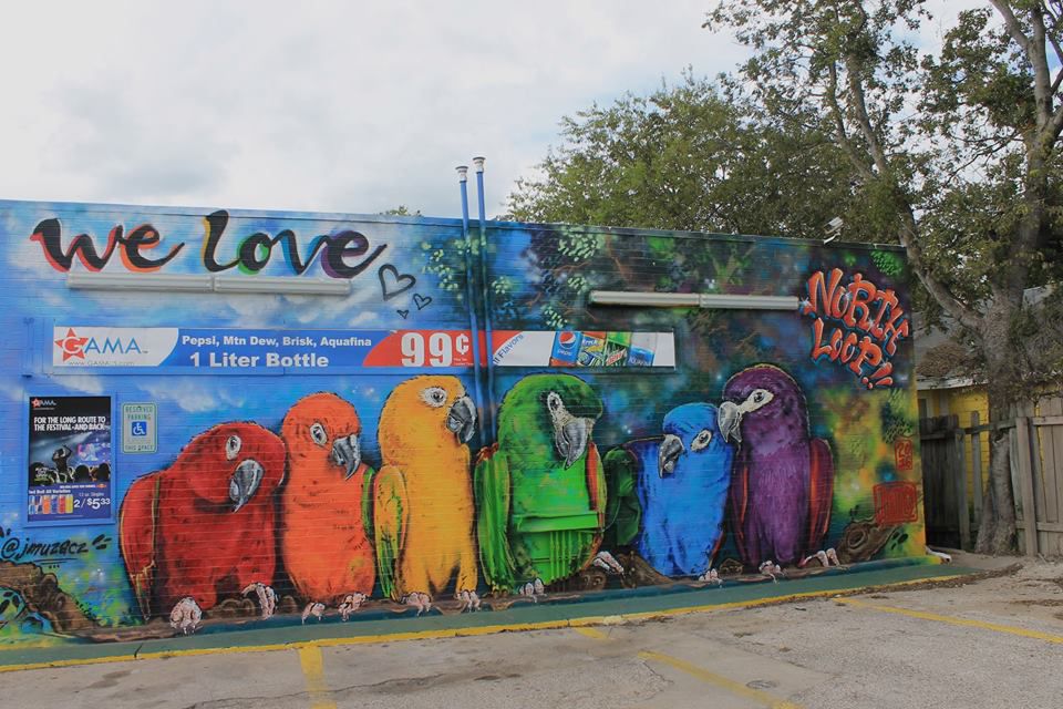 A colorful mural of parrots that says “We Love North Loop”