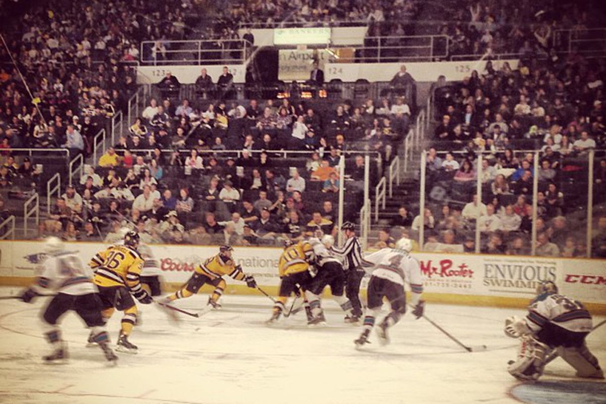 The Worcester Sharks and Providence Bruins battle for the puck off a face-off during Friday night's game at the Dunkin' Donuts Center.