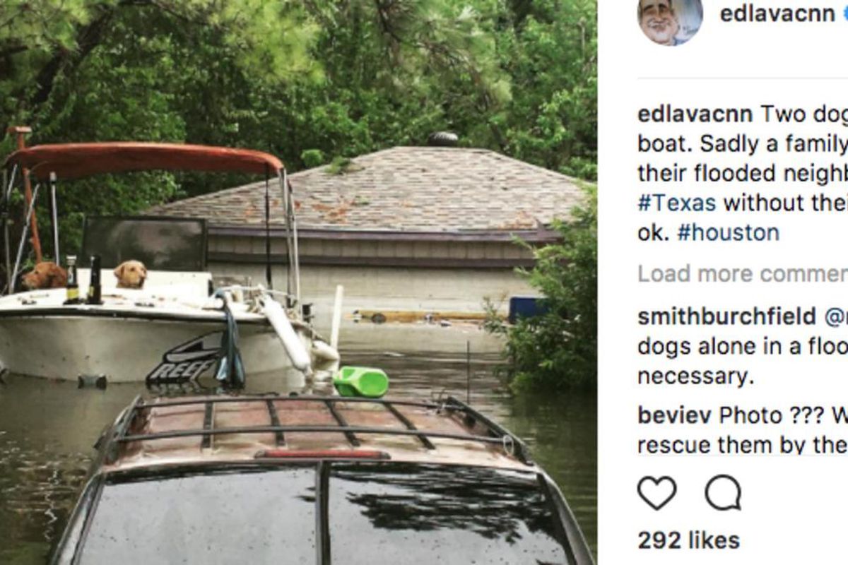 Lavandera shared a photo on his Instagram of two dogs left behind in a boat. He said in his post that a family had to evacuate the neighborhood, which was in Dickinson, Texas.